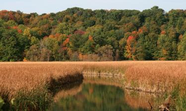 Hotels in Webster