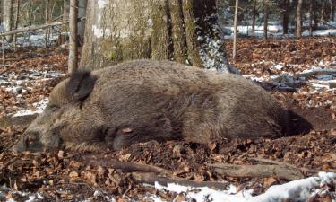 Neufmoutiers-en-Brie şehrindeki otoparklar