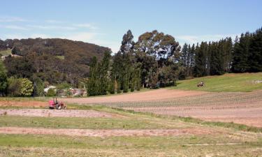 Hoteles familiares en Keilor