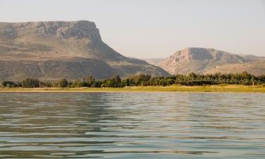 Cabins in Arbel