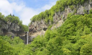 Hôtels acceptant les animaux domestiques à Shiraoi