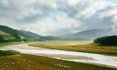 Hoteles familiares en Hongcheon