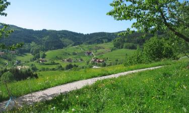 Hoteles románticos en Seebach