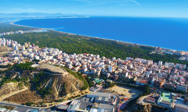 Apartmaji v mestu Guardamar del Segura