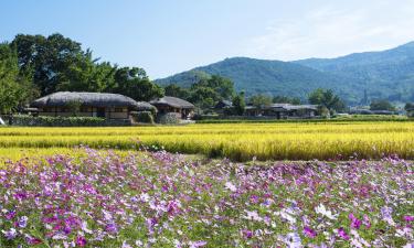 Cheap holidays in Asan