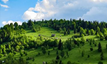 Fjölskylduhótel í Ghimeş-Făget