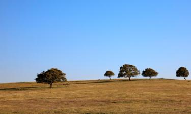 Hotely s parkovaním v destinácii Azinheira dos Barros