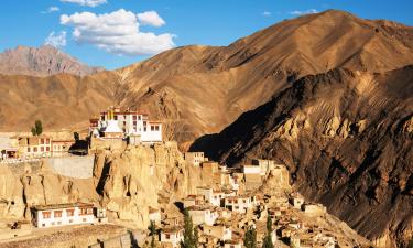 Cottages in Kargil