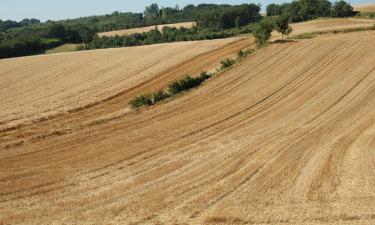 Hoteluri cu parcare în Montgaillard-Lauragais