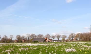 Cottages in Scherpenzeel