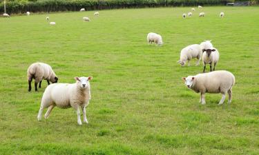 Holiday Homes in Exford