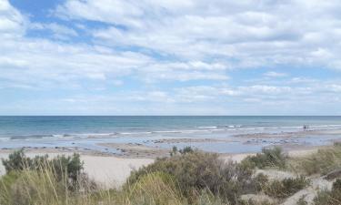 Hoteles en Playas Doradas