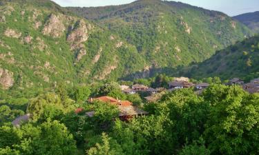 Hoteles en Kovačevica