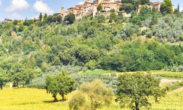 Holiday Rentals in Collazzone