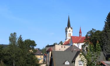 Guest Houses in Janov