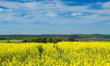 Cheap holidays in Erkelenz