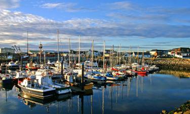 Hoteles que aceptan mascotas en Kilmore Quay