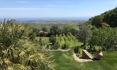 Holiday Rentals in Cirò