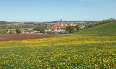 Hoteles económicos en Ringsheim