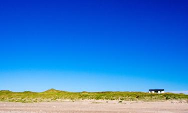 Cottages in Stenbjerg