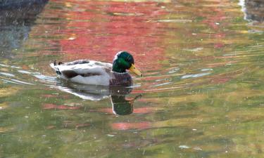 Hotels with Parking in Arendsee