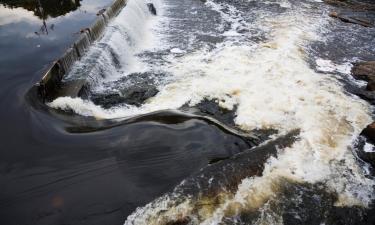 Hôtels avec Piscine à Wayne