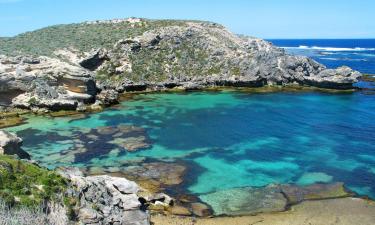 Billiga semestrar i Rottnest Island