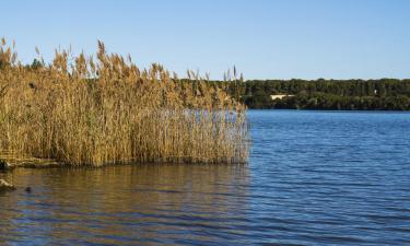 Allotjaments a la platja a Alimini