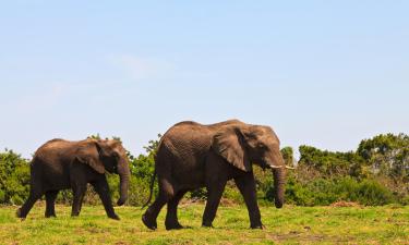 Lodges in Damaraland