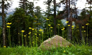 Готелі у місті Granitsa