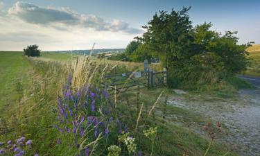 Cottages in Wincanton