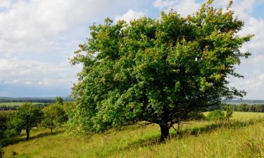 Hôtels à Schwedt-sur-Oder