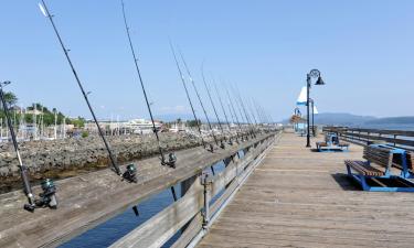 Vacaciones baratas en Campbell River