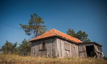 Apartmani na Divčibaru