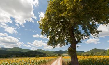 Bed & breakfast a Grottaferrata