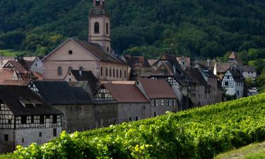 Apartments in Riquewihr