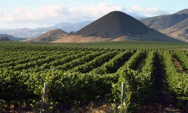 Hotely pro pobyt s domácími mazlíčky v destinaci Paso Robles