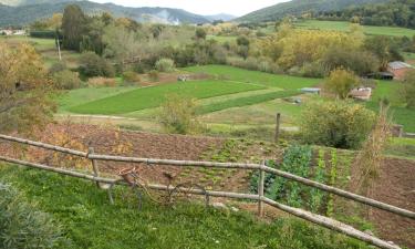 Allotjaments a la platja a Regencós