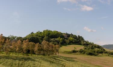 Hotels amb aparcament a Gello