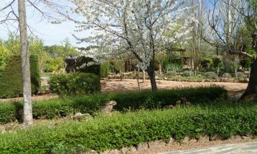 Hoteles familiares en Borba