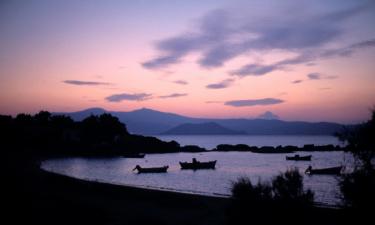 Beach Hotels in Agia Anna Naxos