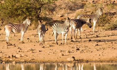 Hotéis para Famílias em Buyskloof