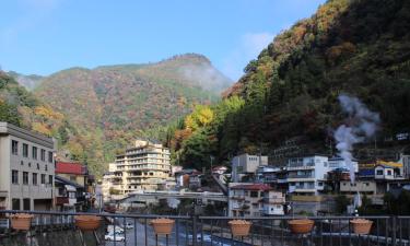 Properties with Onsen in Oguni