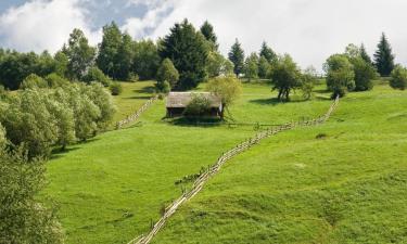 Casas de Hóspedes em Fundata