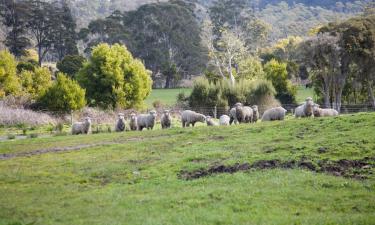 Moteles en Holbrook