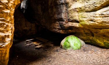 Semesterboenden i Kurort Gohrisch