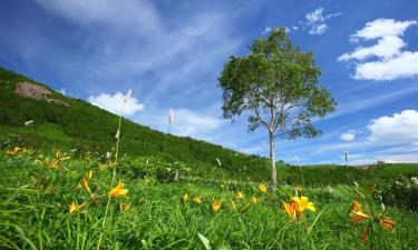 Properties with Onsen in Minakami