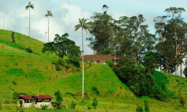 Cabañas y casas de campo en Quimbaya