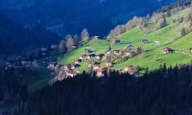 Apartments in Wilderswil