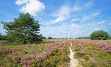 Hotels in Papenburg